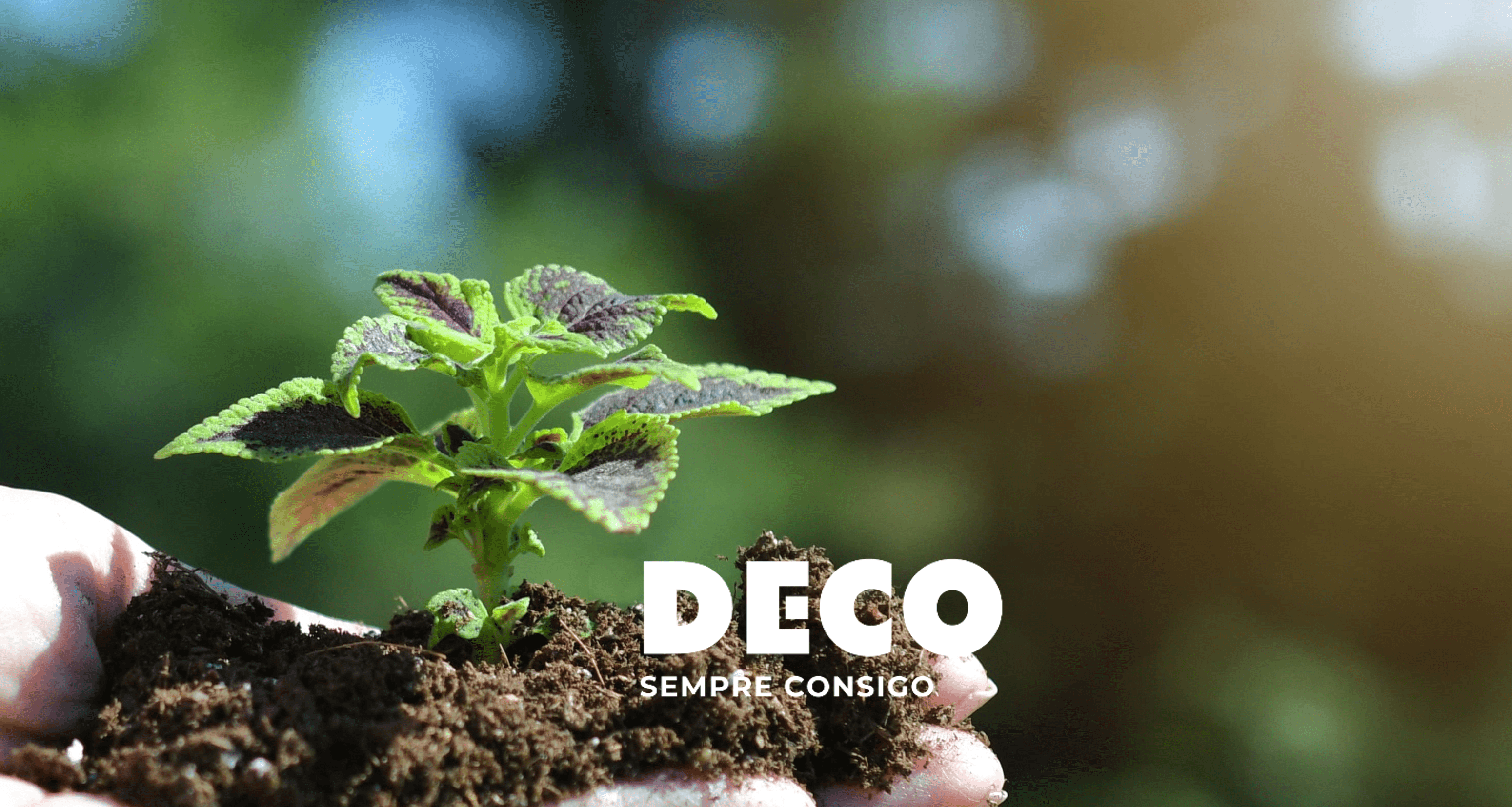 DECO disponibiliza workshops na área da sustentabilidade